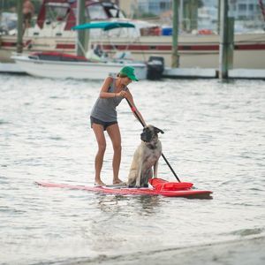 Meet your Posher, Alli